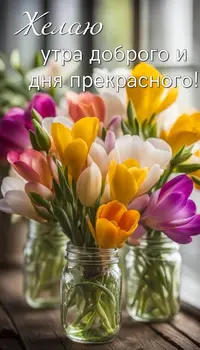 IMG_2109.webp