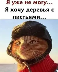 imgonline-com-ua-Resize-SQDTaxOyf7N.webp