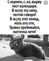 1200-пгд.webp
