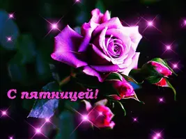 6BF6E871-3DD1-4203-87AC-D9F52E5C3D50.webp