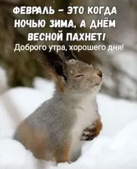 1200-утр.webp