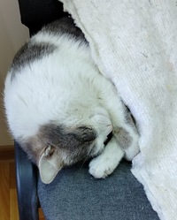 1708066394111.webp