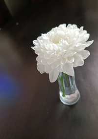 105.webp