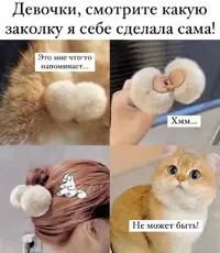 IMG_20240215_184131_861.webp