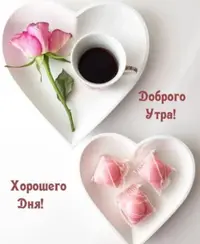 A854488D-1BD2-43C4-B78D-E8B8CA0A70E6.webp