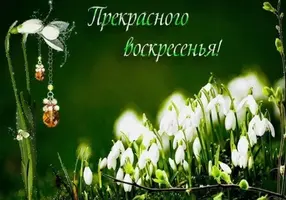 B40D36C2-8459-44DB-9858-99E9BF7DC32A.webp