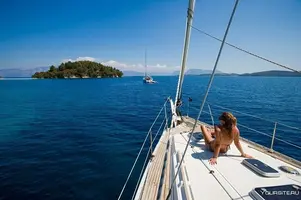 8977_12.webp