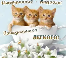 1A0FA11E-10F2-4544-9FF8-C1CB85E09FF5.webp