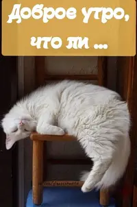 1200-утр.webp