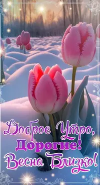 1285F417-5735-48A5-919F-C674B927C906.webp