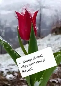 A7FBD8EE-9FE0-4E08-B6A2-0DB588BED4AF.webp