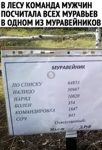 1200-753.webp