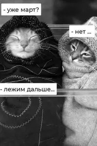 1200-настр.webp
