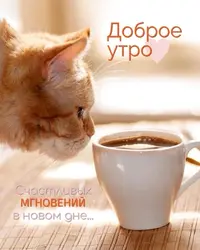 IMG_2230.webp