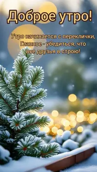 IMG_2233.webp