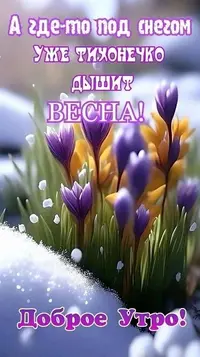1200-утр-5.webp