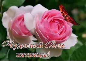 3DA5913F-D9E7-4FE7-BD8C-4D96E7967974.webp