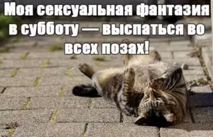57DE7C43-13AF-40A6-A876-152471B1806A.webp