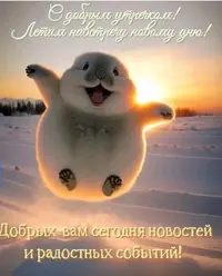 IMG_2249.webp