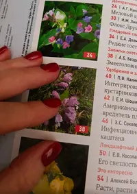666.webp