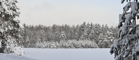 _DSC6337.webp