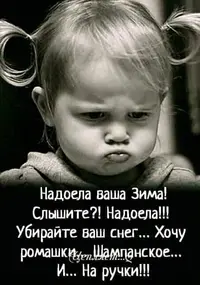 1200-настр.webp