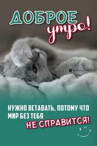 1200-утр.webp