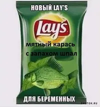 99617259185080034.webp