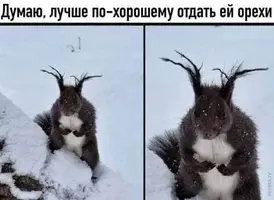 1200-юмр-01.webp