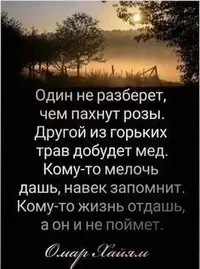 f4uFEsRC4dA.webp