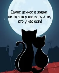 imgonline-com-ua-Resize-HHHS6hpi7Yt.webp