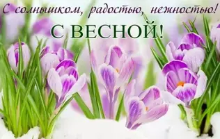 94BE8A20-74F2-40AC-8FC7-AD5528D4EEA7.webp