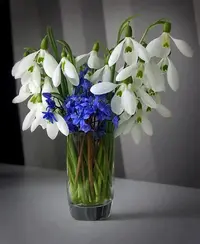 d5e5a29cd34d697013edb86ce5db09f4--rose-photos-vase.webp