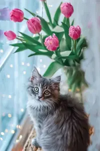 AE689D7A-EE1C-4F7C-B55B-5CDE0780B4BD.webp