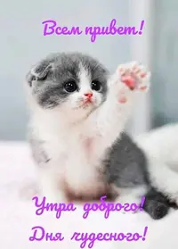 IMG_2309.webp