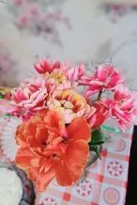 20240302_180010.webp