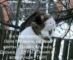imgonline-com-ua-Resize-ClJ4SuvK9u9TDK.webp