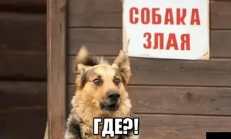 1200-юмр-99.webp