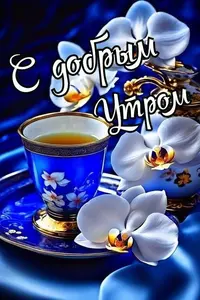 1200-утр.webp