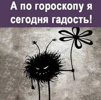 1200-55.webp