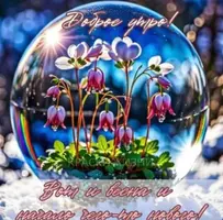 52C10308-B1DC-4E2A-B80F-BD1E5CCEBF1E.webp