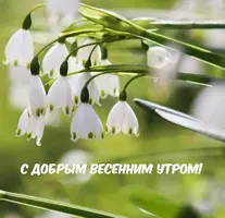 7FFDB22E-B54E-44F9-A4FE-F973167F5866.webp
