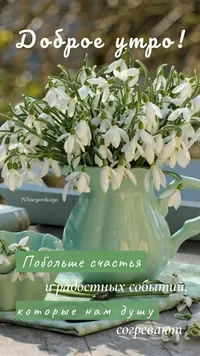 1200-утр.webp