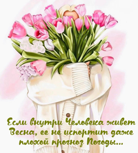 77799.webp