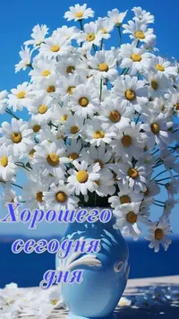 IMG_2356.webp