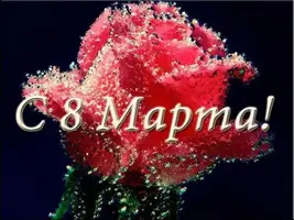 i (16).webp