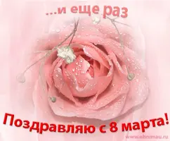 92f6116301711e97f662249346195976_i-258.webp