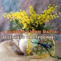 ED19EC1F-8DC0-4462-B549-5571B738DA05.webp