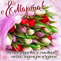 IMG_2894.webp IMG_2894.webp