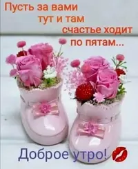 FB_IMG_1709880008885.webp